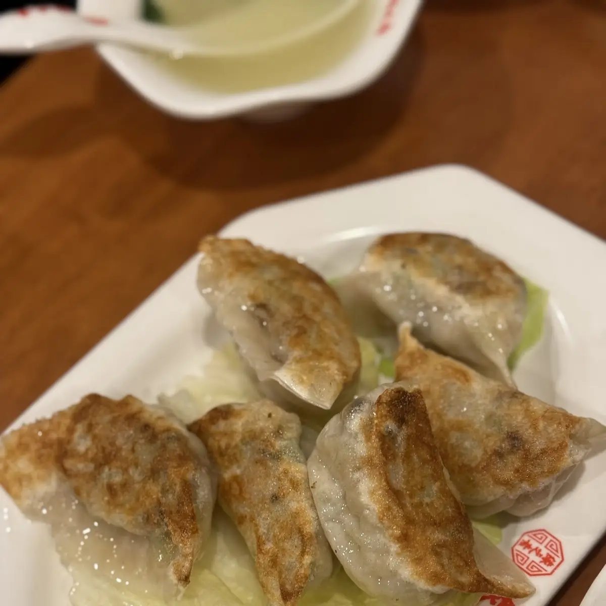 Fried Dumplings 煎饺